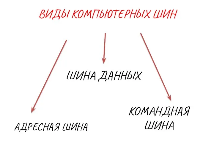 ВИДЫ КОМПЬЮТЕРНЫХ ШИН АДРЕСНАЯ ШИНА ШИНА ДАННЫХ КОМАНДНАЯ ШИНА