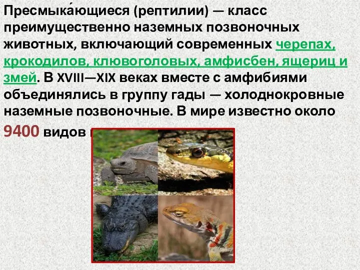 Пресмыка́ющиеся (рептилии) — класс преимущественно наземных позвоночных животных, включающий современных черепах, крокодилов,