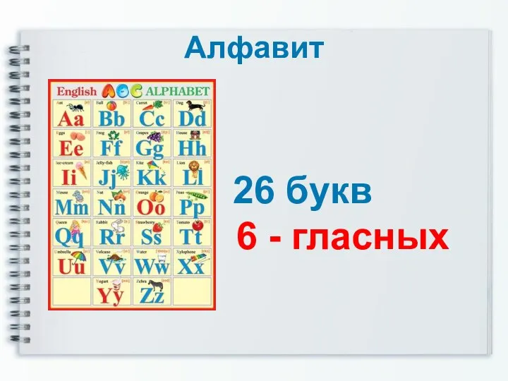 Алфавит 26 букв 6 - гласных