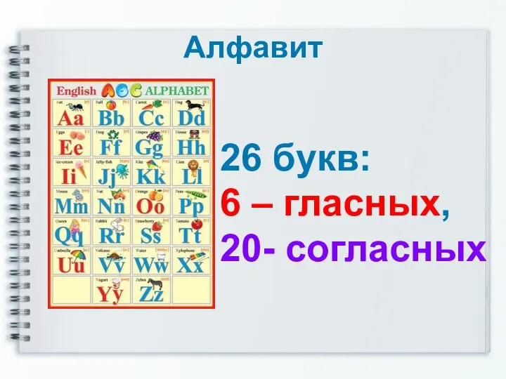 Алфавит 26 букв: 6 – гласных, 20- согласных