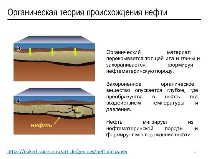 Органическая теория происхождения нефти Органический материал перекрывается толщей ила и глины и