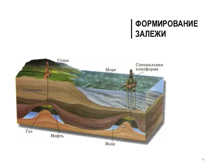 ФОРМИРОВАНИЕ ЗАЛЕЖИ