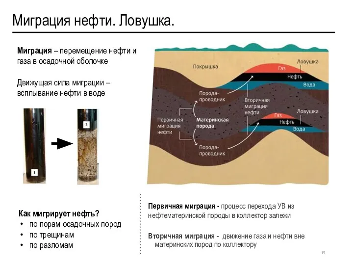 Миграция нефти. Ловушка. Вторичная миграция - движение газа и нефти вне материнских