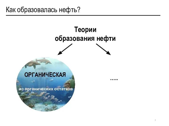 Как образовалась нефть? ….. Теории образования нефти ОРГАНИЧЕСКАЯ из органических остатков