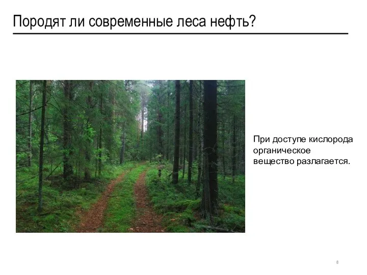 Породят ли современные леса нефть? При доступе кислорода органическое вещество разлагается.