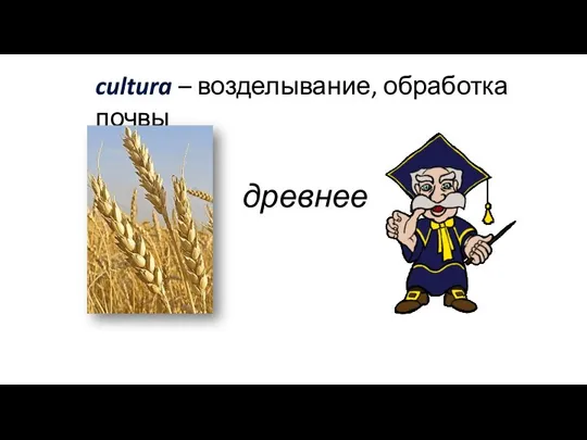 cultura – возделывание, обработка почвы древнее