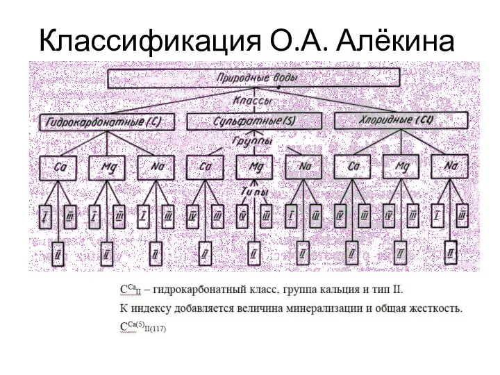 Классификация О.А. Алёкина