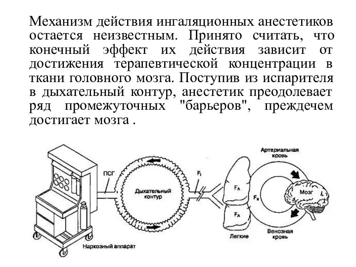 Механизм действия ингаляционных анестетиков остается неизвестным. Принято считать, что конечный эффект их