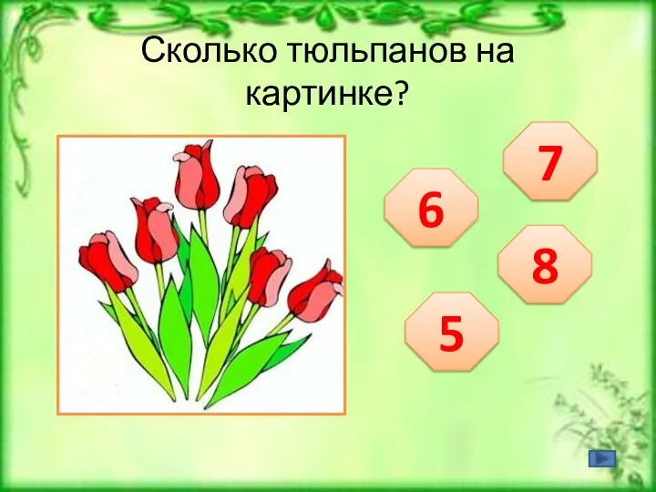 Сколько тюльпанов на картинке? 6 7 5 8