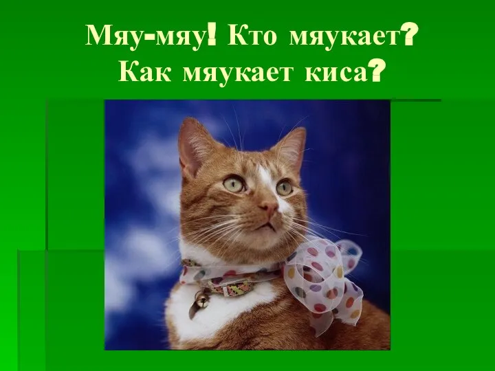 Мяу-мяу! Кто мяукает? Как мяукает киса?