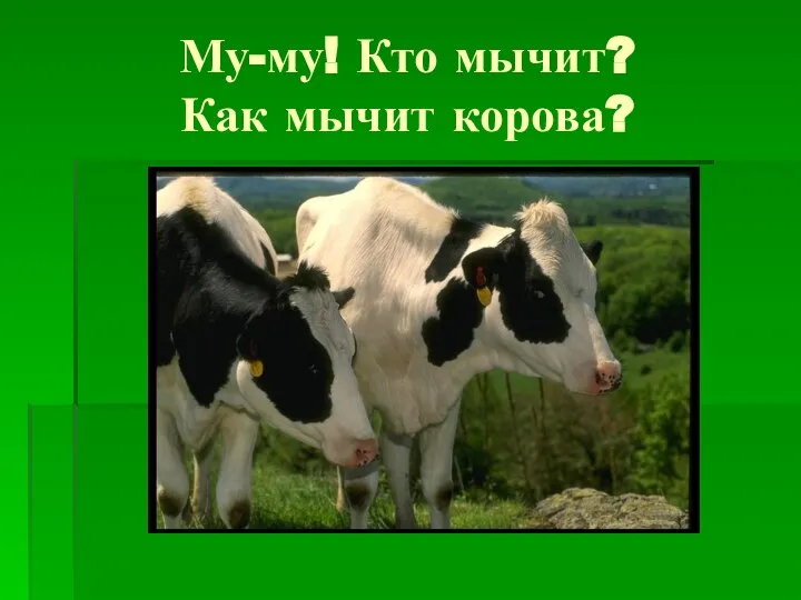 Му-му! Кто мычит? Как мычит корова?