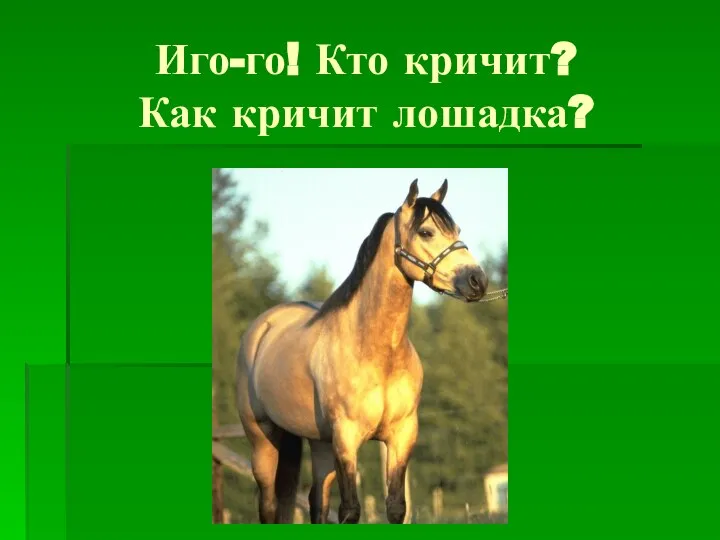 Иго-го! Кто кричит? Как кричит лошадка?