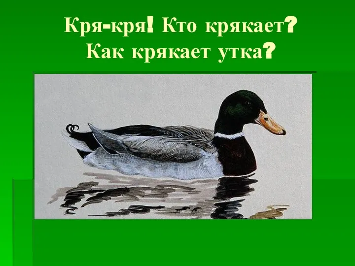 Кря-кря! Кто крякает? Как крякает утка?