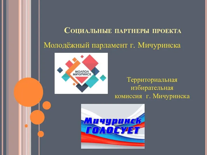 Социальные партнеры проекта Молодёжный парламент г. Мичуринска Территориальная избирательная комиссия г. Мичуринска