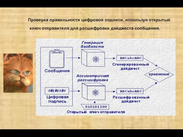 Проверка правильности цифровой подписи, используя открытый ключ отправителя для расшифровки дайджеста сообщения.