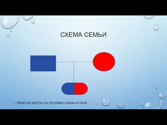 СХЕМА СЕМЬИ РЕБЕНОК ВСЕГДА НА ПОЛОВИНУ МАМА И ПАПА