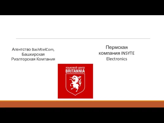 Агентство BashRielCom, Башкирская Риэлторская Компания Пермская компания INSYTE Electronics