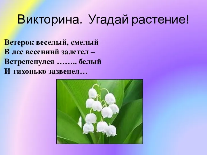 Викторина. Угадай растение! Ветерок веселый, смелый В лес весенний залетел – Встрепенулся