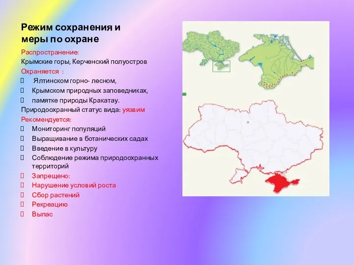 Режим сохранения и меры по охране Распространение: Крымские горы, Керченский полуостров Охраняется