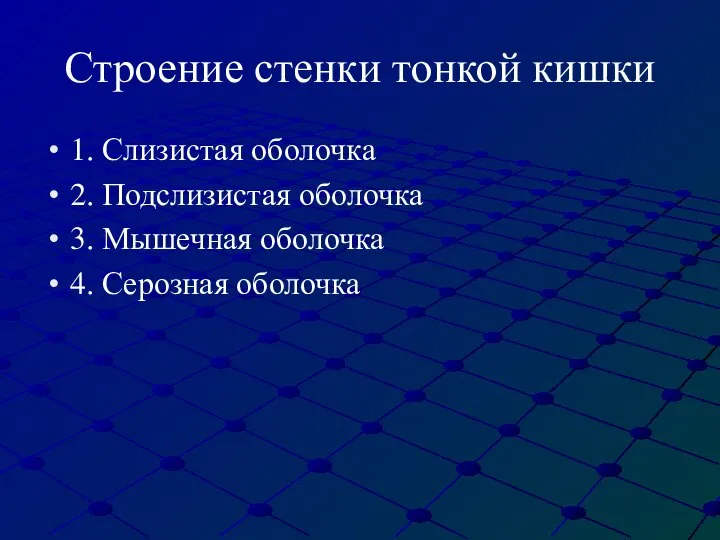 Строение стенки тонкой кишки 1. Слизистая оболочка 2. Подслизистая оболочка 3. Мышечная оболочка 4. Серозная оболочка