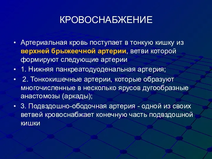 КРОВОСНАБЖЕНИЕ Артериальная кровь поступает в тонкую кишку из верхней брыжеечной артерии, ветви