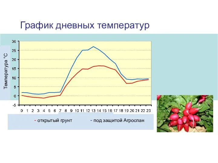 График дневных температур