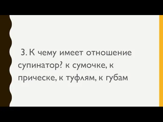 3. К чему имеет отношение супинатор? к сумочке, к прическе, к туфлям, к губам