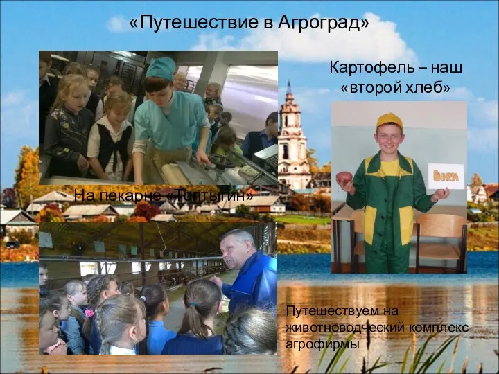 «Путешествие в Агроград» На пекарне «Топтыгин» Картофель – наш «второй хлеб» Путешествуем на животноводческий комплекс агрофирмы