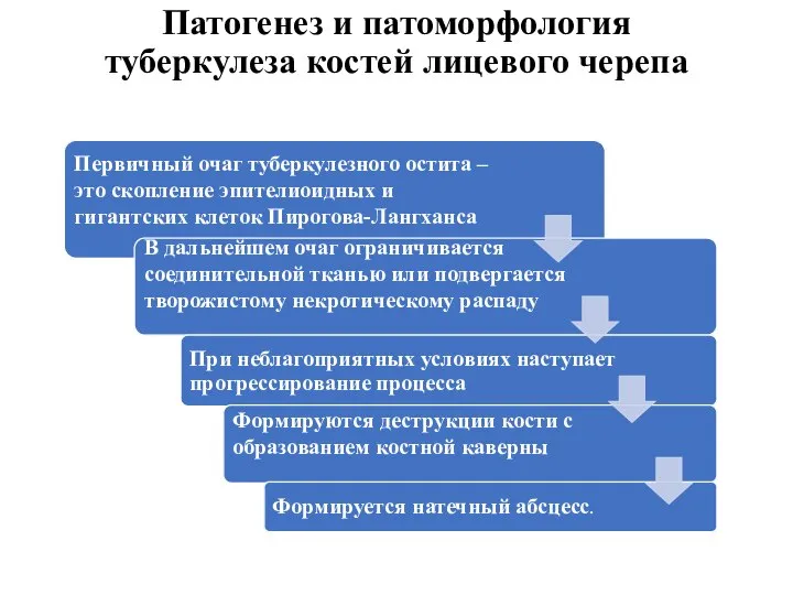 Патогенез и патоморфология туберкулеза костей лицевого черепа