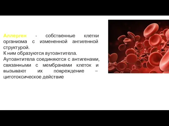 Аллерген - собственные клетки организма с измененной антигенной структурой. К ним образуются