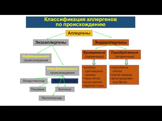 Классификация аллергенов по происхождению Аллергены Эндоаллергены Экзоаллергены Приобретенные (вторичные) Врожденные (первичные) Инфекционного