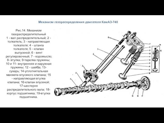 Механизм газораспределения двигателя КамАЗ-740 Рис.14. Механизм газораспределительный 1 - вал распределительный; 2