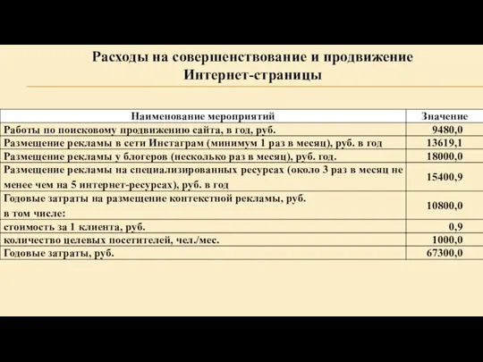 Расходы на совершенствование и продвижение Интернет-страницы