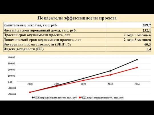 Показатели эффективности проекта