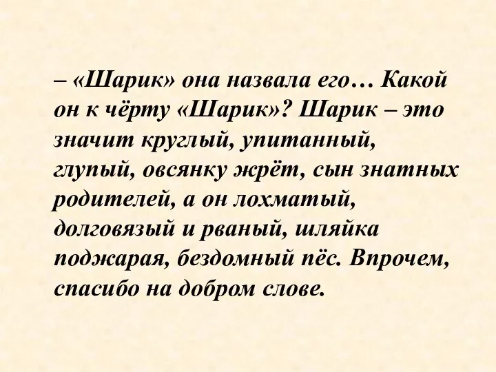 – «Шарик» она назвала его… Какой он к чёрту «Шарик»? Шарик –