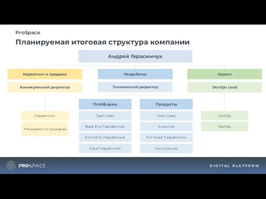 Планируемая итоговая структура компании ProSpace D I G I T A L