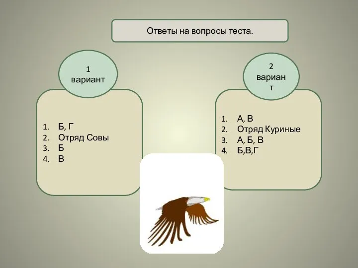 Б, Г Отряд Совы Б В А, В Отряд Куриные А, Б,