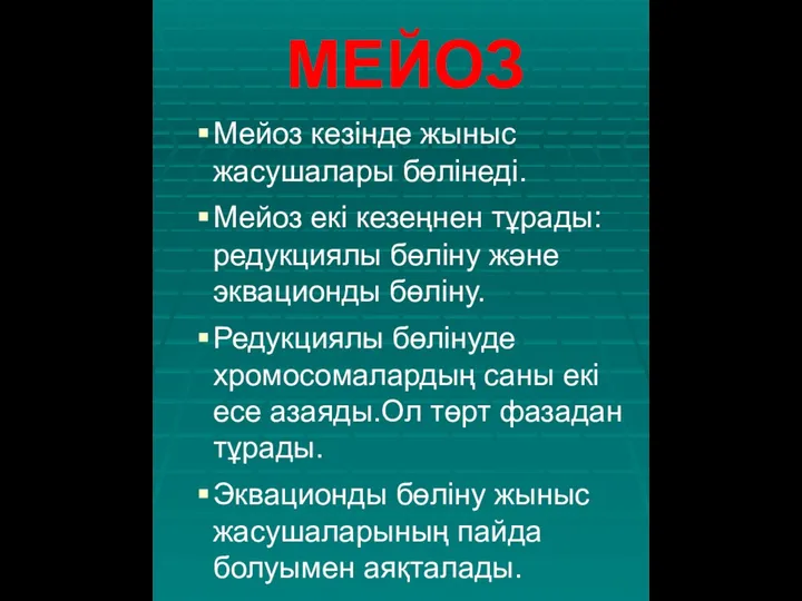 МЕЙОЗ Мейоз кезінде жыныс жасушалары бөлінеді. Мейоз екі кезеңнен тұрады: редукциялы бөліну