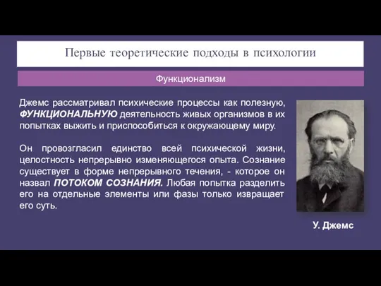 Первые теоретические подходы в психологии Джемс рассматривал психические процессы как полезную, ФУНКЦИОНАЛЬНУЮ