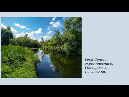 Река Лучеса, окрестности д. Гончаровка. 1 июля 2020