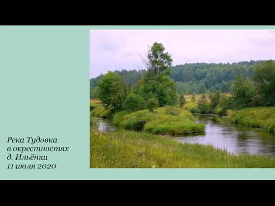 Река Тудовка в окрестностях д. Ильёнки 11 июля 2020