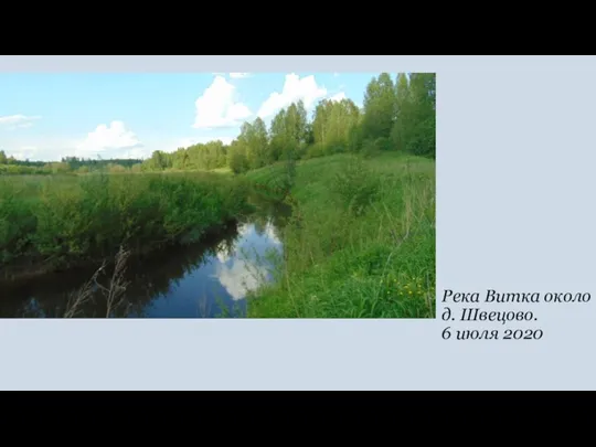 Река Витка около д. Швецово. 6 июля 2020