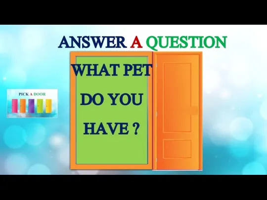 ANSWER A QUESTION WHAT PET DO YOU HAVE ?