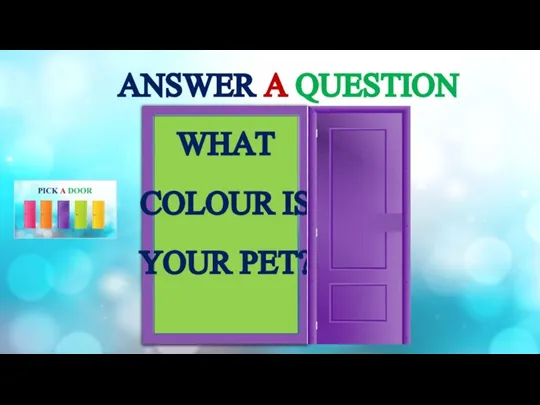 ANSWER A QUESTION WHAT COLOUR IS YOUR PET?