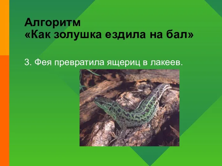 Алгоритм «Как золушка ездила на бал» 3. Фея превратила ящериц в лакеев.