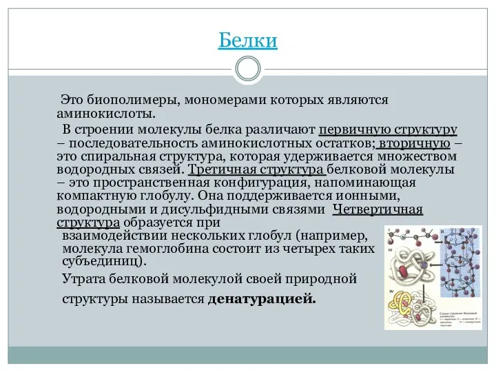 Белки Это биополимеры, мономерами которых являются аминокислоты. В строении молекулы белка различают