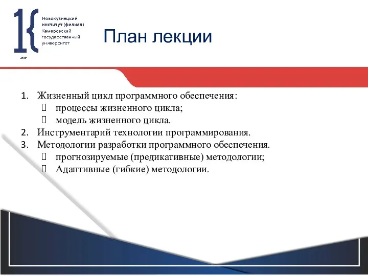 План лекции Жизненный цикл программного обеспечения: процессы жизненного цикла; модель жизненного цикла.