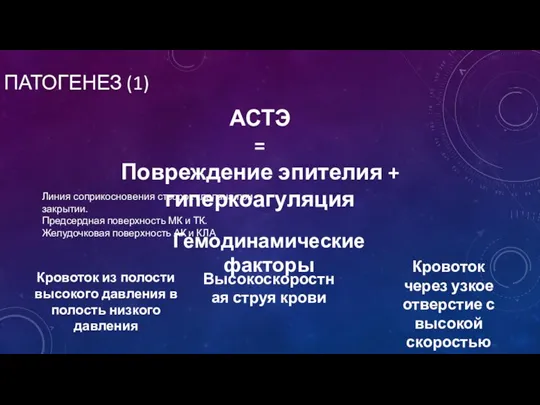 ПАТОГЕНЕЗ (1) АСТЭ = Повреждение эпителия + гиперкоагуляция Линия соприкосновения створок клапана