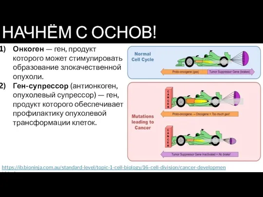 НАЧНЁМ С ОСНОВ! Онкоген — ген, продукт которого может стимулировать образование злокачественной