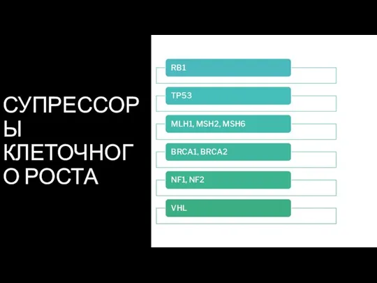 СУПРЕССОРЫ КЛЕТОЧНОГО РОСТА